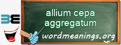 WordMeaning blackboard for allium cepa aggregatum